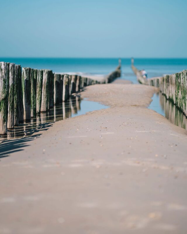 Omgeving Domburg - hotel in Zeeland